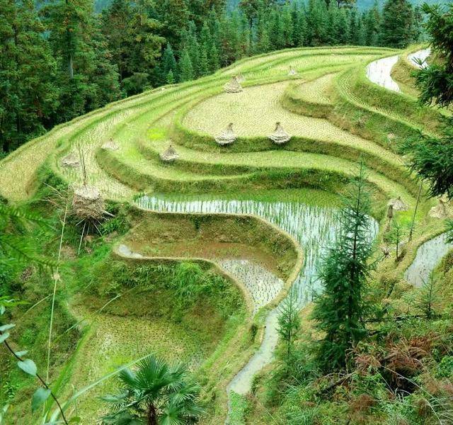 弯弯曲曲的意思 搜狐网