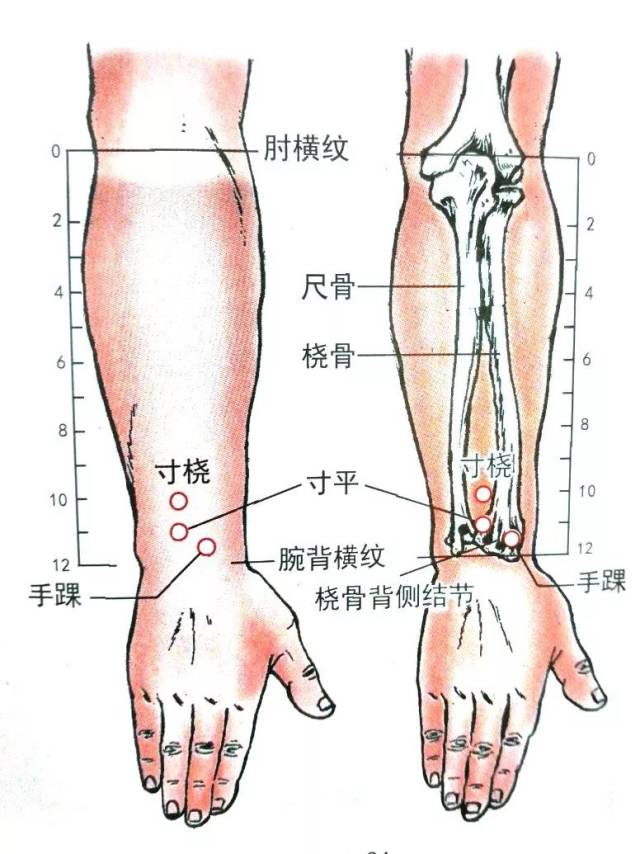 经外奇穴|手踝_手机搜狐网