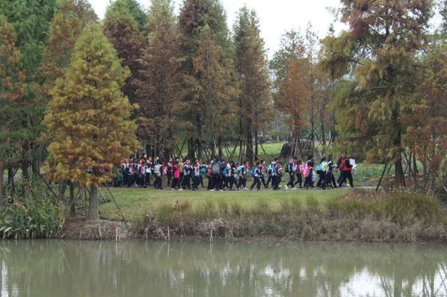 简讯| 江北中心小学植物园秋迹研学之旅