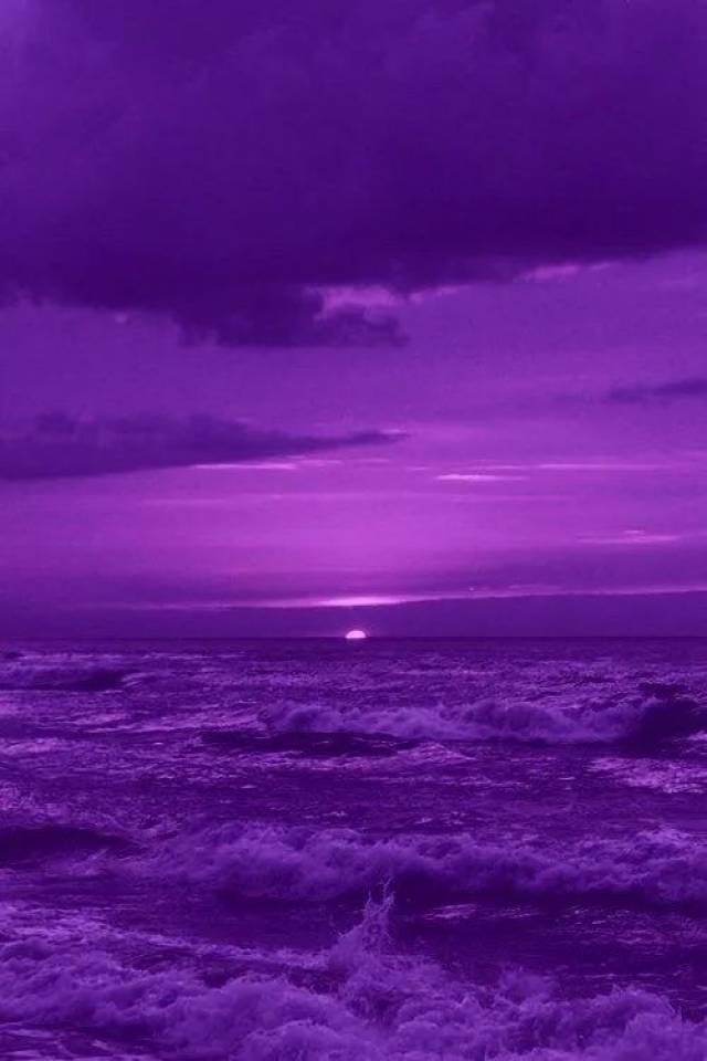 紫色    / purple /    高贵 ,神秘 ,忧郁, 优雅, 高贵, 魅力