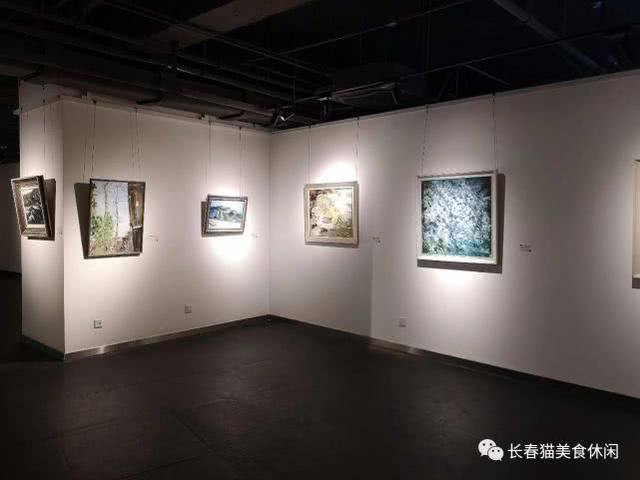 长春市美术馆举行"2018油画水彩画作品展",免费参观!