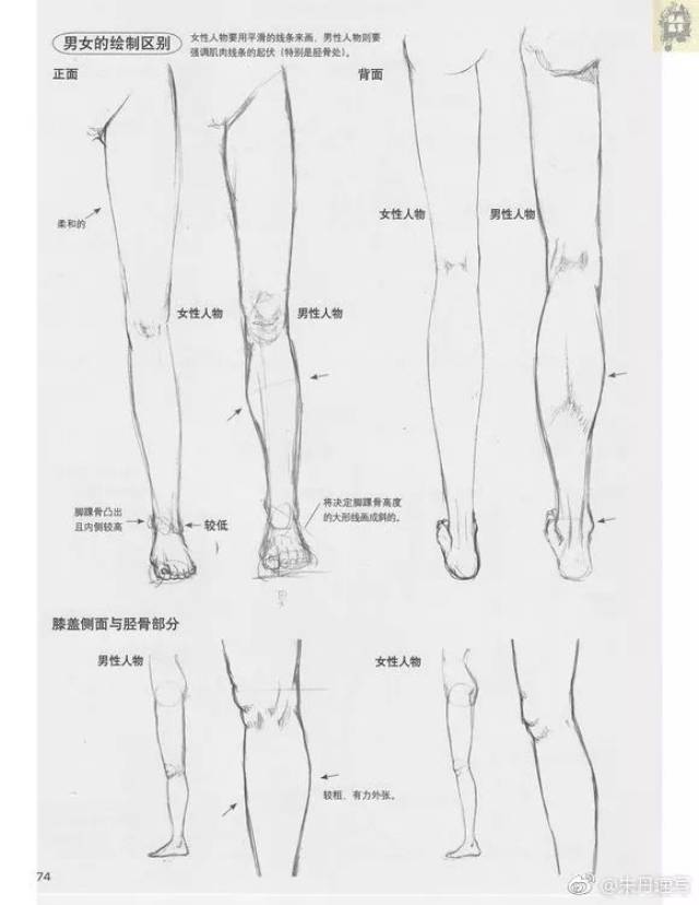 人物素材 | 超赞的腿部足部教学资料