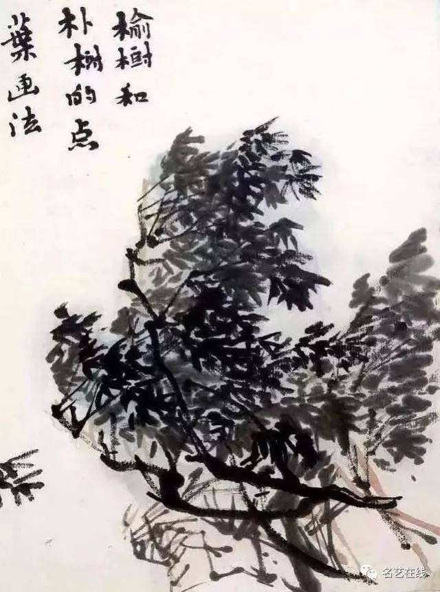 榆树的画法