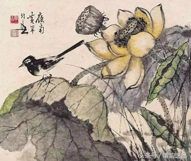 黄幻吾花鸟画100幅,清新,脱俗!