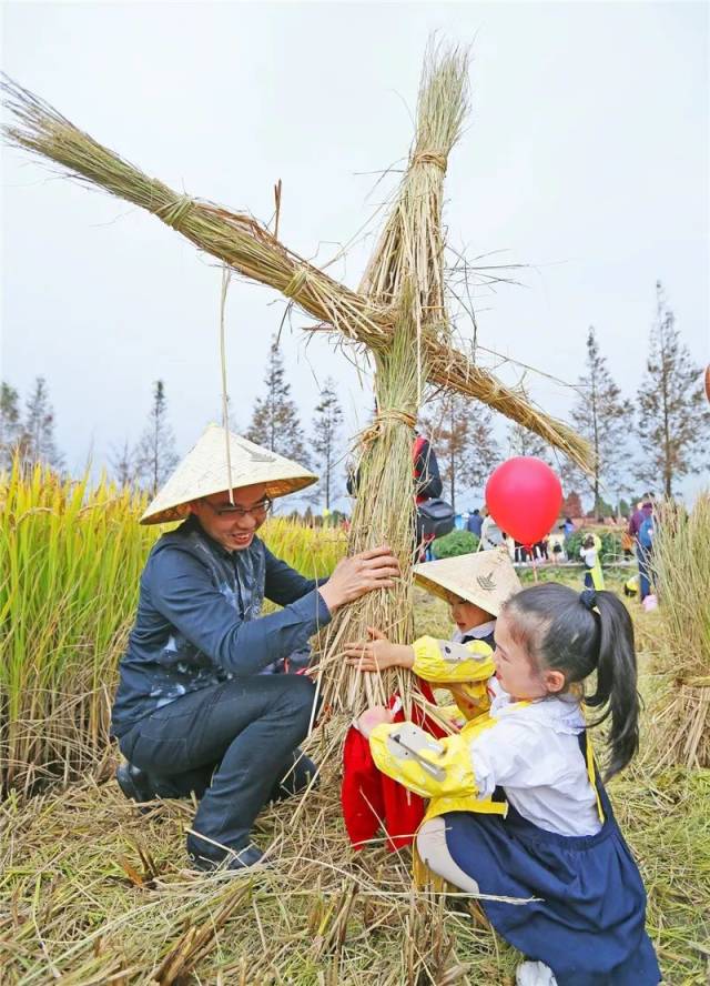 割稻子,扎稻草人,手动碾米,石湖荡今天举办首届农耕文化节
