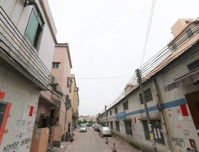 番禺区洛浦街幼儿园信息