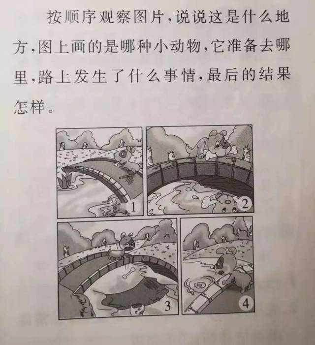 看图写话-关于一只小狗的故事