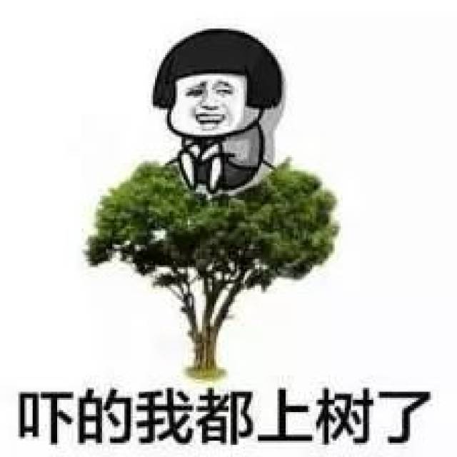 金普新区不动产登记中心就“7500亿”事件作出回应