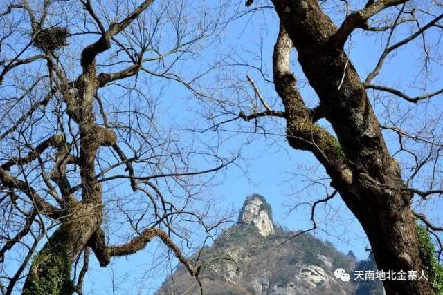 路线:1,金寨县城-青山-燕子河镇元坳-张畈村五猴山农家乐;2,六安-霍山