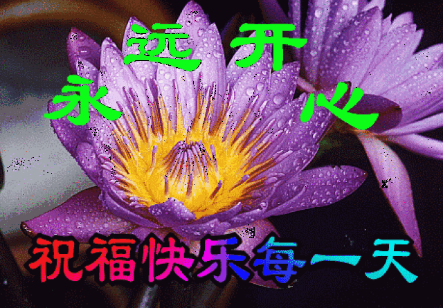 因为我希望你幸福 所以我随时为你送上祝福 远方的朋友啊 我珍惜