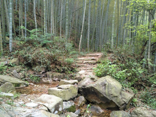 古越寻踪,探访余姚虹岭古道,收获不一样的风景