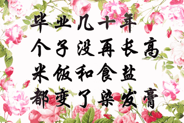一语道破同学聚会的本质,句句戳心!老同学们都看看