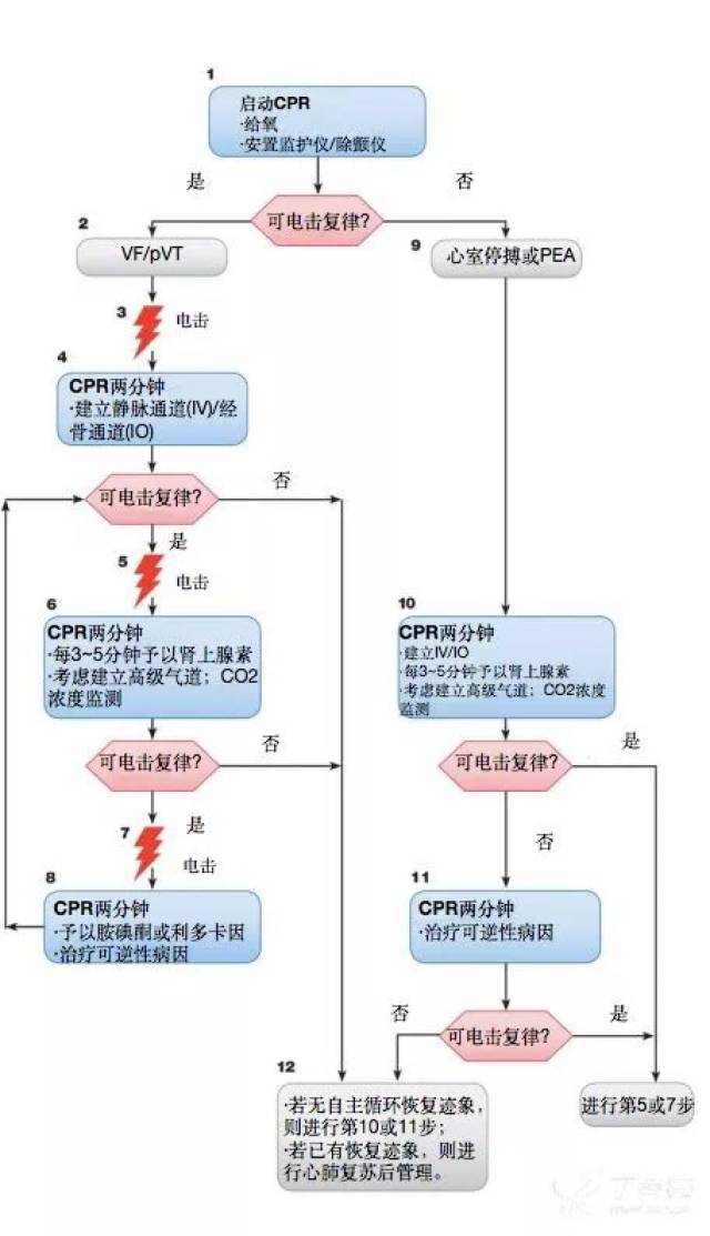 流程与管理(图 1,图 2),还总结了最近发表的关于在对难控制的室颤/无