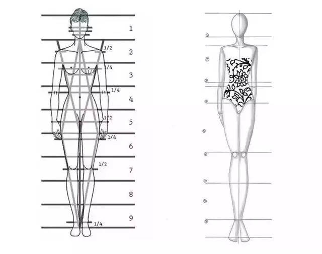 教你画好各种动态的服装人体线稿!