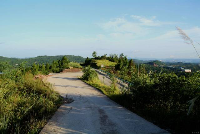 重磅!营山县公路通车里程达4815公里,乡镇村通硬化路比例100%