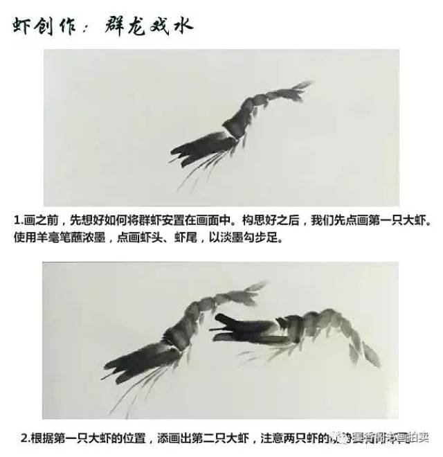 国画技法|水墨虾的画法,易学!
