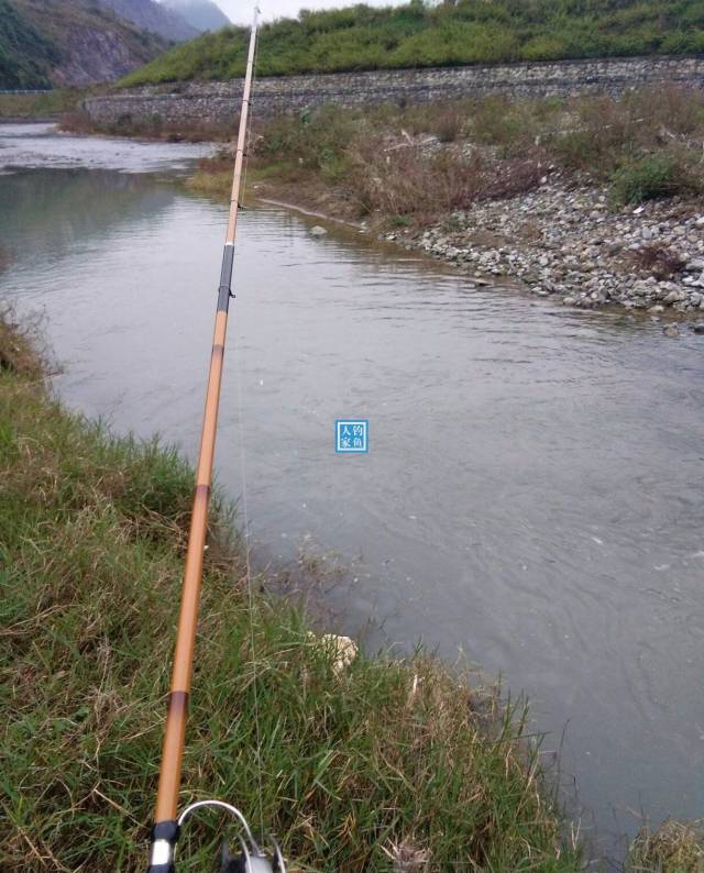 溪流河道排水口,盘车冲底爆钓马口鱼,收获一桶满满的野生马口鱼