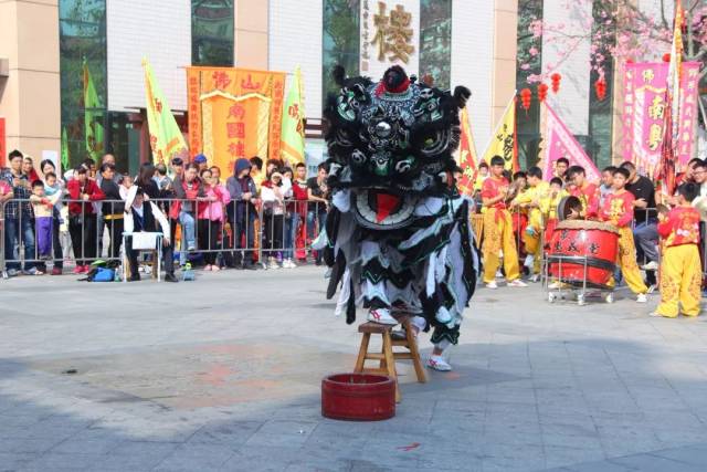 张槎作为传统南狮(源生态)三星狮流派的重要发祥地,更是把醒狮文化