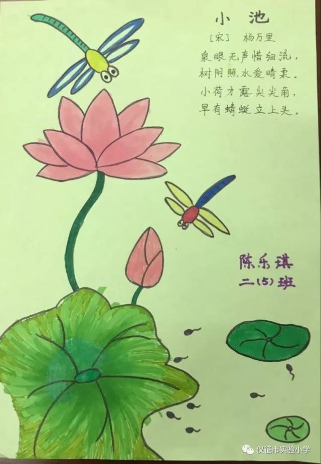 近日,实验小学二年级(5)班开展了古诗配画活动