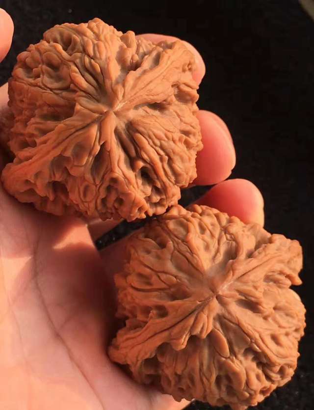 文玩核桃:狮子头中的五虎上将,该如何选择!