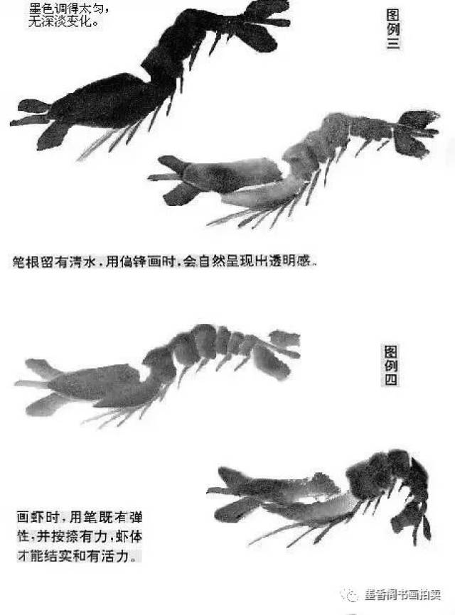 国画技法|水墨虾的画法,易学!