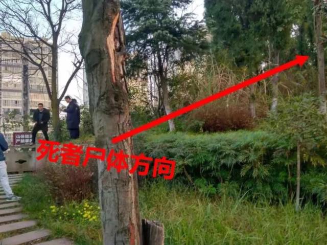 南充某公园发现一具男尸,疑去世多日尸身已腐烂