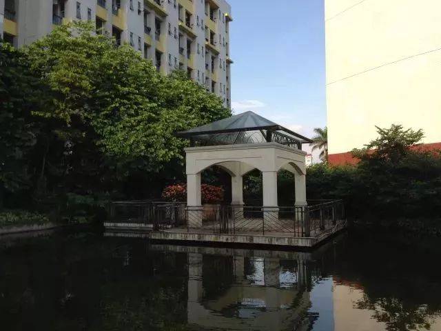 乐从中学,我的青春在这!