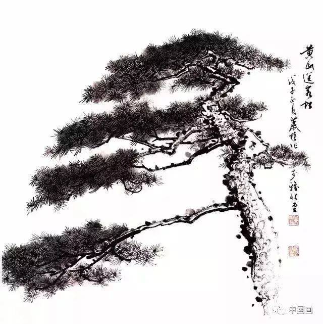 柏树的画法 柏树历来寓意长寿或象征高尚民族气节,如寿高汉析,柏寿