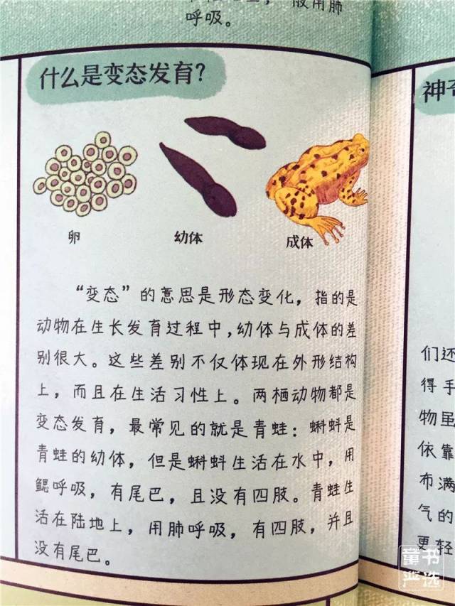 为什么说从蝌蚪到青蛙是变态发育?