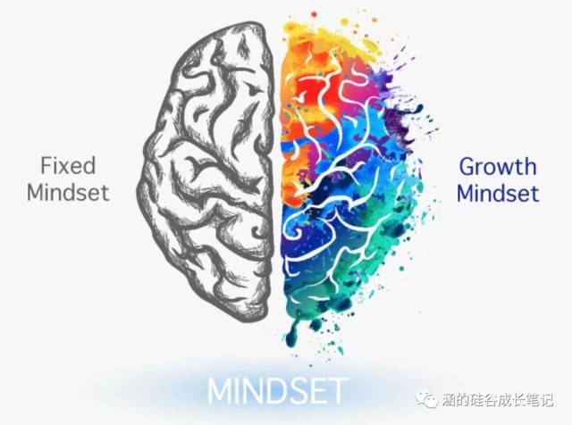 现在,我知道了,他是fixed mindset,而我需要的,是growth mindset.