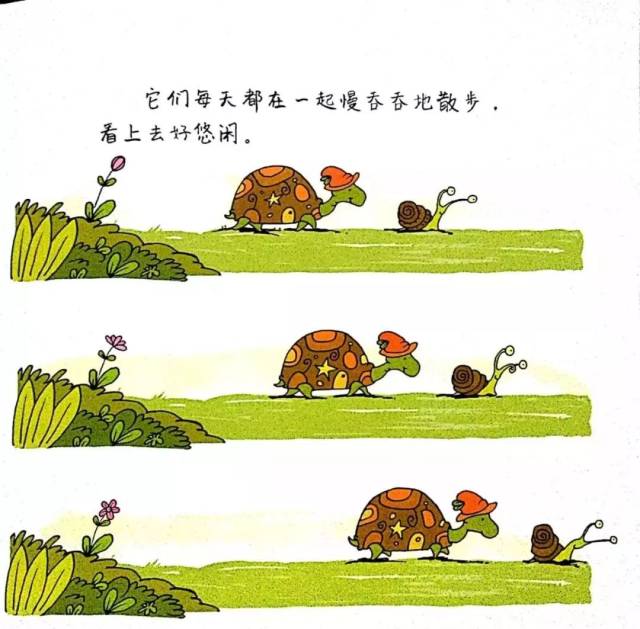 它们每天都在一起慢吞吞的散步,看上去好悠闲.