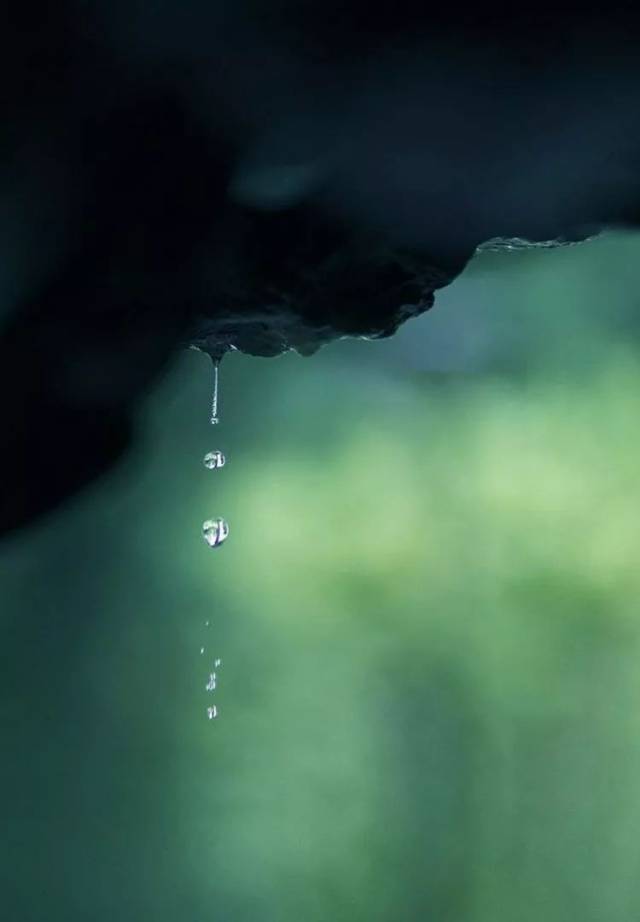 冬雨= 湿意 × 创意 × 雅意 × 用意 × 禅意