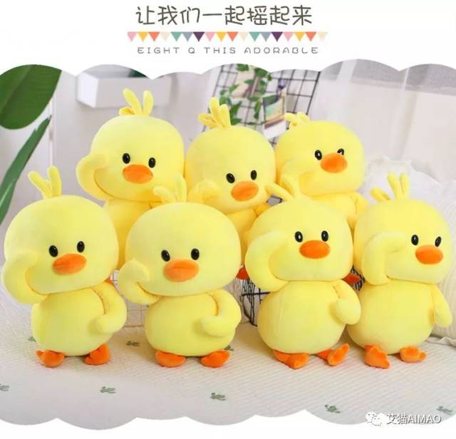 【艾猫】快看!那有一只网红鸭