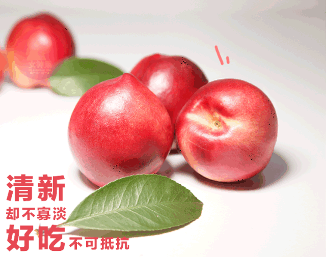 色泽一致,独特的黄红色活力又鲜红 规格一致,个大色艳果皮光亮 像桃又
