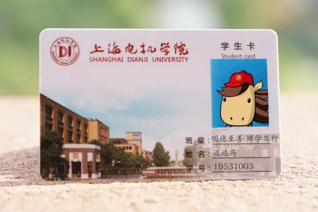 上海音乐学院学生校园卡分为本科生证和研究生证两种,本科生证色调为