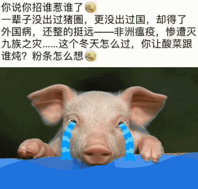 中粮家佳康为您解决吃猪肉难题!