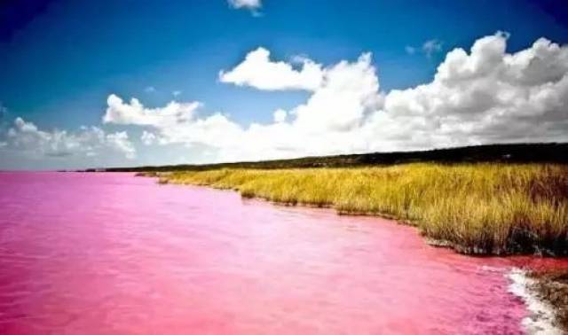 盘点:全球有多少国家说法语