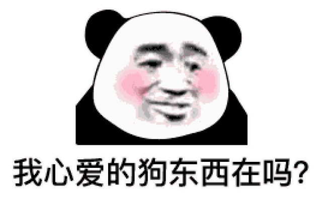 表情| 想找富婆,请给我100中介费(熊猫头表情包)