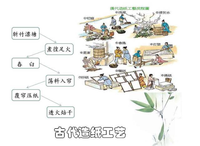 【元旦特辑】解密古法造纸术,制作心仪花草纸,新春灯笼diy|1.1下午