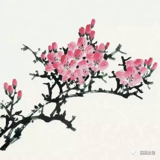 【国画教程】杜鹃花的入门画法