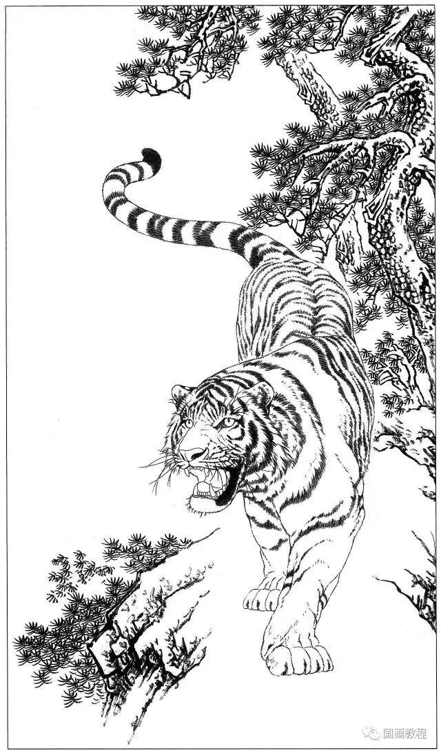 【国画教程】100副老虎,马等各种动物的白描合集(太全了,转发收藏了~)