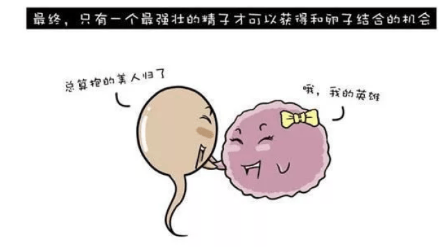帮试管婴儿挑选最优精子,以色列的医疗创新让国人汗颜!