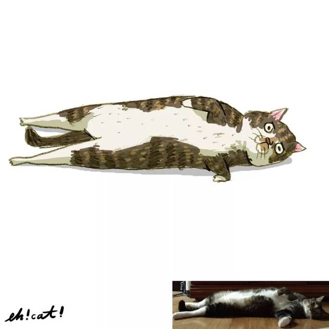 画风极酸爽的灵魂画手,把你家猫画成超搞笑表情包!
