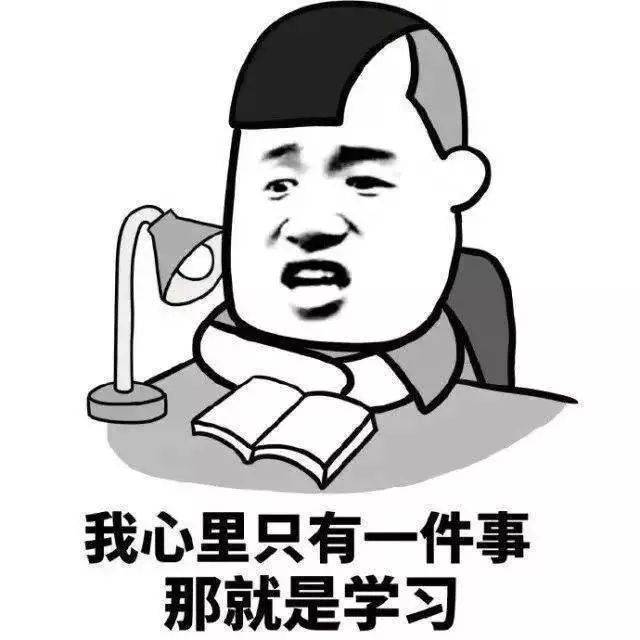 认真学习型