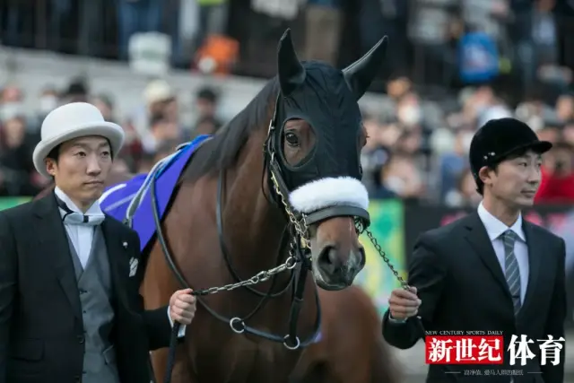 3岁三冠马后"杏目"破纪录摘下6.48亿日元奖金日本杯桂冠