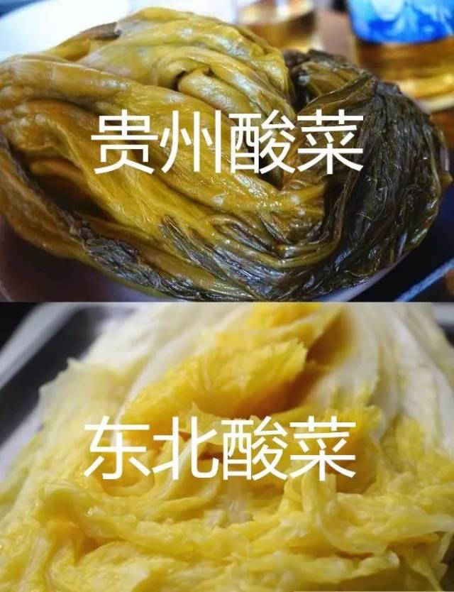 不过,贵州酸菜和东北酸菜样子差别很大, 南北方不仅冬天不一样