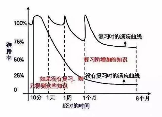 3 循环记忆单词,给单词"分组,按照艾宾浩斯曲线记忆法,制定复习时间