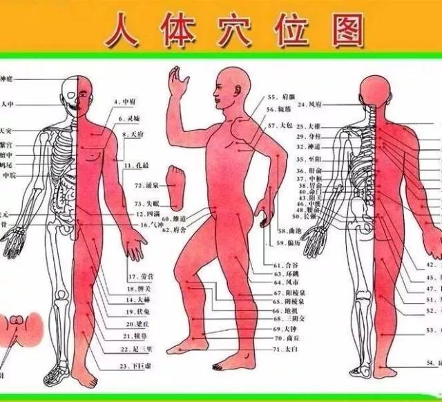 高清经络循行动图人体穴位汇总