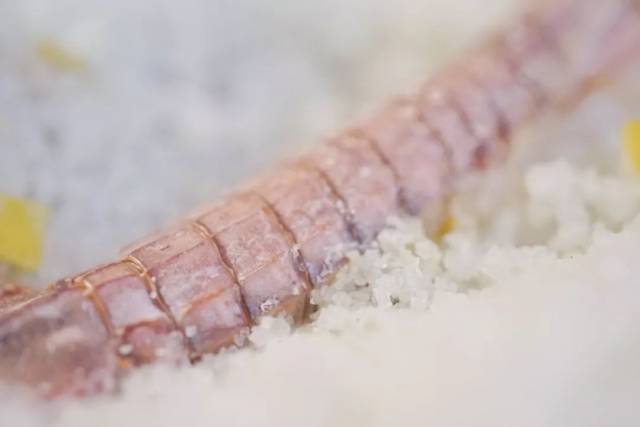 吃完的柚子皮不要扔,用来盐焗皮皮虾!