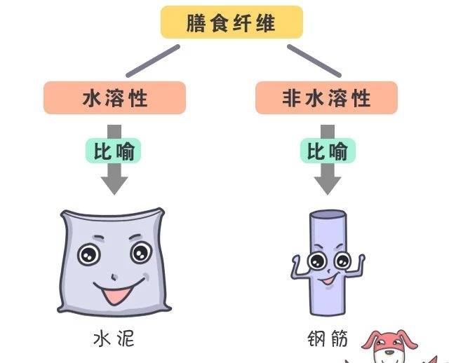 膳食纤维到底怎么吃?吃多少?